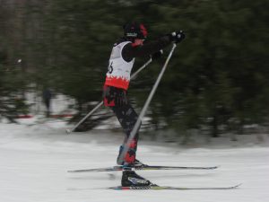 skier