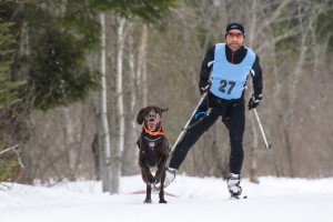 Skijoring